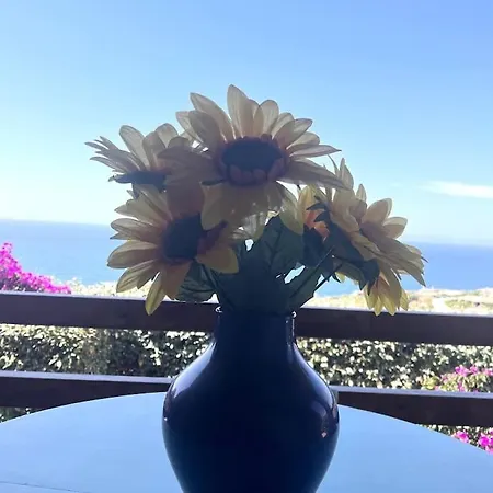 Le Gardenie - Key To Holiday home Costa Paradiso